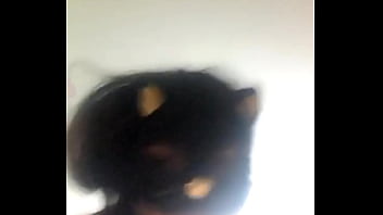 Preview 3 of X Vidio Com Ee 538 - V&iacute_deo de verifica&ccedil_&atilde_o