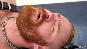 Preview 4 of Hardcore Male Masturbation Gif - HAIRYANDRAW Hairy Bearsilien Raw Fucks Blond Gay After BJ
