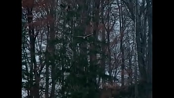 Preview 4 of Www Xnxzzz - Couple man and woman was robbed naked and thrown out of the car in the forest by a robber. ENF. Stolen clothes