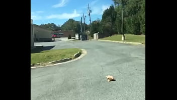 Preview 4 of Mswallow Testing - U-haul fucking https://.com/ohgheeyoty