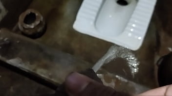 Preview 3 of Fake Dotcor - Piddle