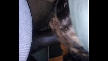 Preview 3 of Hd Doggi - Good love