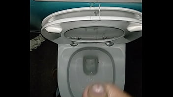 Preview 3 of Dawen Vdio - ejac toilette