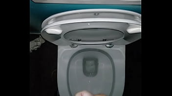 Preview 1 of Dawen Vdio - ejac toilette
