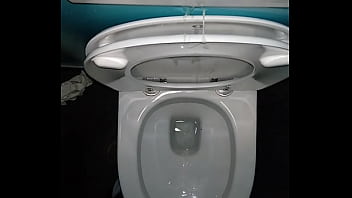 Preview 4 of Dawen Vdio - ejac toilette