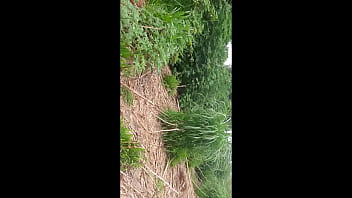 Preview 2 of Best Blowjob 14 - aceitei dinheiro de um velho pra ser filmada e depois ser comida fodida no campo