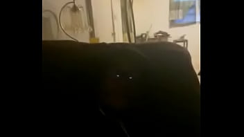 Preview 2 of Animals Dog Sax - Verification video