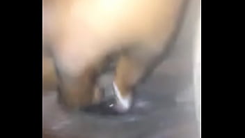 Preview 1 of Gay Aran - Wet pussy