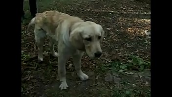 Preview 3 of Xxx Video Of Collage Girl - Beautiful boys outdoor