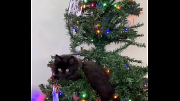Preview 2 of Teen Xxxvedeos - Merry Christmas from the little terrorist