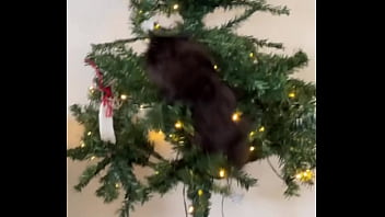 Preview 4 of Teen Xxxvedeos - Merry Christmas from the little terrorist