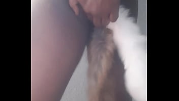 Preview 1 of Shemale And Girl Gang - Twerking it with two tail feathers