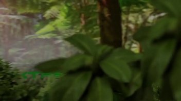 Preview 1 of Kutun Xxx Videos - Futanari babes having fun in a dinosaurus park