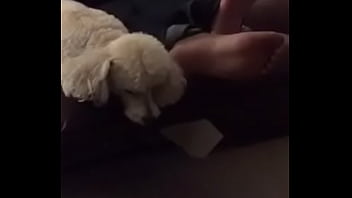 Preview 2 of Shariya Kshan - Couch feet