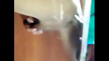 Preview 1 of Dawnload Pornh Video 3gp Mp3 Mp4 - My friend fuck me