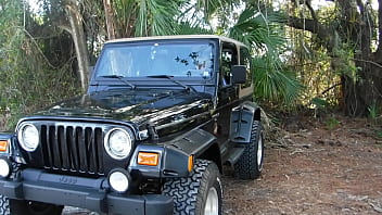 Preview 1 of Sindhi Girls Fucking - Public Park inside Jeep jerking off. Big load of cum.