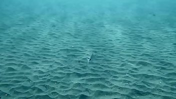 Preview 1 of 18 Tube Xxx Hd Porn Tube Sex - Underwatershow presents underwater Tenerife girls