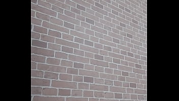 Preview 1 of Ftv Ass6 - Verification video