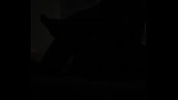 Preview 3 of Chinese Masturbate Cam - Beto comendo uma puta gostosa safada