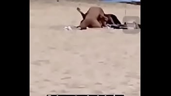 Preview 3 of Amilia Swallows - Nao praia do meco