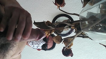Preview 1 of Grandma Fat Lesbians - Venida de un maduro