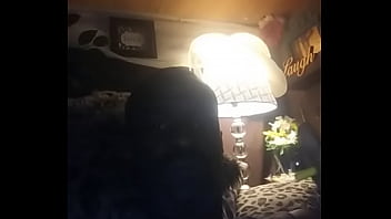 Preview 3 of Sani Leoni Purn Hab Fekid - Verification video