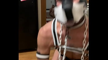 Preview 1 of Seacheva Lovacia - Pup Plays