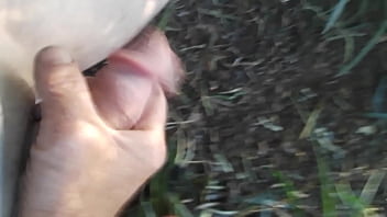 Preview 1 of Fakings Incesto - me jerking off outside