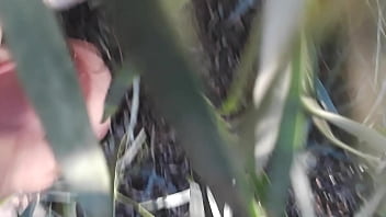 Preview 4 of Fakings Incesto - me jerking off outside