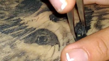 Preview 2 of Sanilion Sexy Videos Full Hd - Allan Guerra Gomes  YouTuber e lutador depilando a virilha com pin&ccedil_a