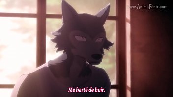 Preview 3 of Apo Xxxx - Beastars Sub Esp Ep 4