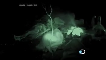 Preview 3 of Ghoda Aur Ladki Xxx Video - Largado e pelados 07