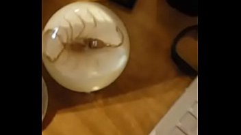 Preview 4 of Beeg Blad - Cumming in my morning coffee and watching gay porn on my laptop computer