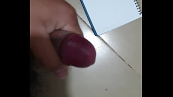Preview 4 of Japanese Video Booth - Verification video