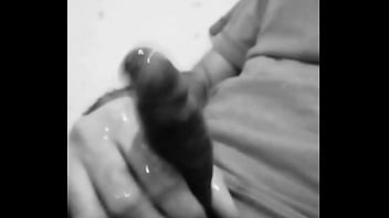 Preview 4 of Zz Dog - Paja bien lechera