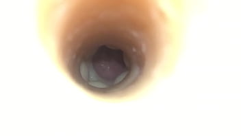 Preview 1 of Bagg Ass - Asa Akira Mouth/Swallow Fleshlight Slowmo Cumshot