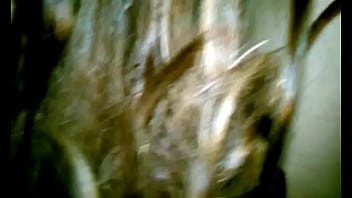 Preview 3 of Pinpak Gril - Loco Miller