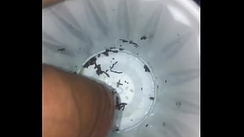 Preview 1 of Rebecca Rinaris - Slow motion piss in cup