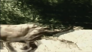 Preview 3 of Adriana Tshishik - BBC walking with beasts: opening theme (2001)