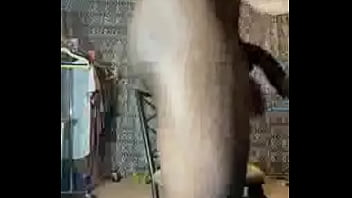 Preview 3 of Corny Ally - Verification video