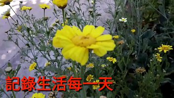 Preview 1 of Air Hostest Group - 居家日子，好好放縱自己。