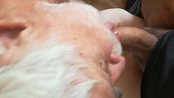 Preview 2 of Video Fa Xxx - Bitch,  suck my DICK!!!