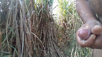 Preview 4 of Xxx Sax Amarkan - Open cum in sugar cane feld