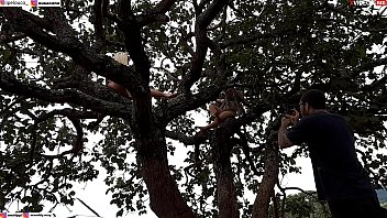 Preview 2 of Shbaowuxw - ENFIEI A PIROCA NA LOIRA E NA MORENA EM CIMA DA ARVORE NO MEIO DA RUA (assista ao video completo xvideos RED ) Emi Rippi