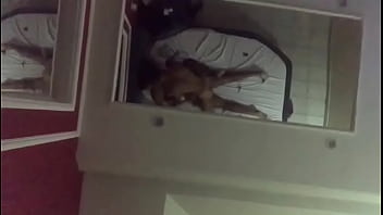 Preview 1 of Women Shitting Video - Motel na quarentena