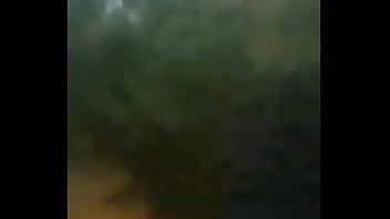 Preview 4 of Caxvid - S