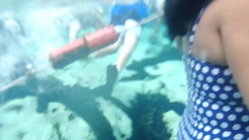 Preview 4 of Original Seal Open Xvideos First - Culito