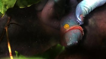Preview 1 of Chech Piss - He stroked his cock in a slimy pink bath swamp and then I gently felt his cock and balls and fingered his asshole until he came.