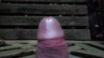 Preview 3 of Bahan Ke Kiya - 4 girls only: Fucking the garden bench. :P