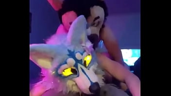 Preview 2 of Xxx Usb - Fursuiter gets fucked in a room full of people